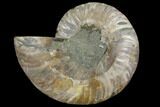 Agatized Ammonite Fossil (Half) - Crystal Chambers #111487-1